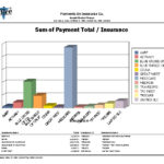 Graphic-Payments-by-Insurance_Lg.jpg